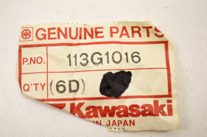 OEM Kawasaki 113G1016 Hex Head Bolt 10X16 NOS