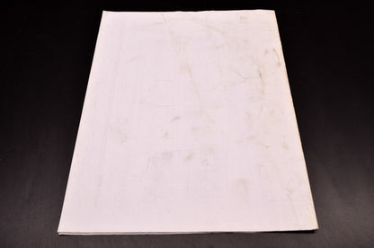 OEM Polaris 9918803 Service Manual 04 Sportsman 600/700