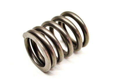 OEM Kawasaki 12007-013 Outer Valve Spring NOS