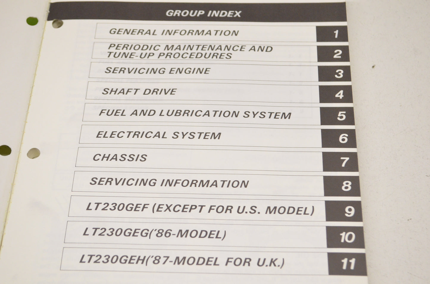 OEM Suzuki Service Manual LT230GE