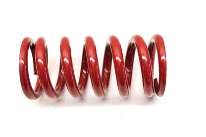 New Eibach Springs Shock Spring NOS