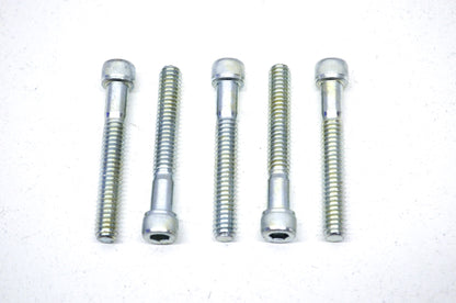 Lucky's 96-879 Socket Head Screw Qty 5 NOS