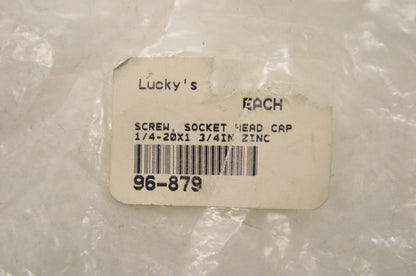 Lucky's 96-879 Socket Head Screw Qty 5 NOS