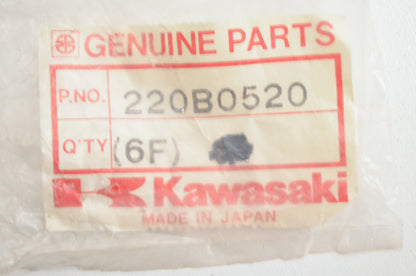 OEM Kawasaki 220B0520 Pan Head Screw 5X20 NOS