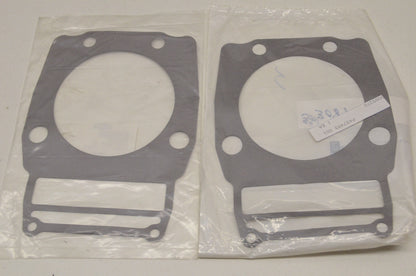 OEM Polaris 3089966 Cylinder Gasket Qty 2 NOS