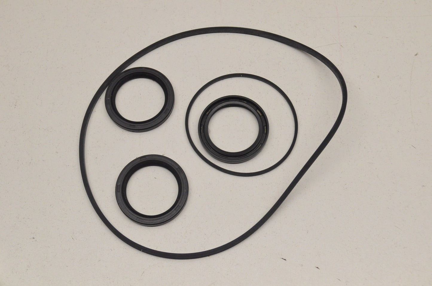 New OEM Polaris Seal Kit NOS