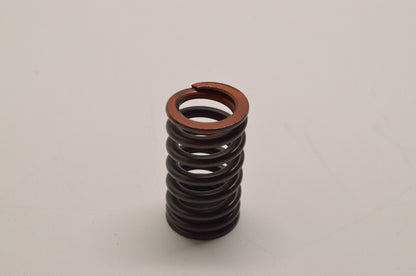 OEM Yamaha 33D-12113-00-00 Inner Valve Spring NOS