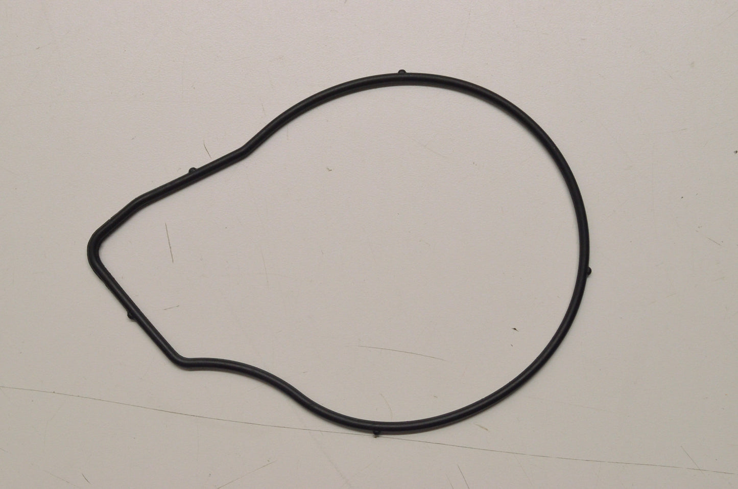 OEM Polaris 24446365 Water Pump Cover Seal NOS