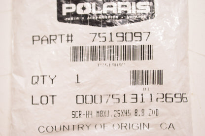 OEM Polaris 7519097 Screw HH M8X1.25X45 NOS