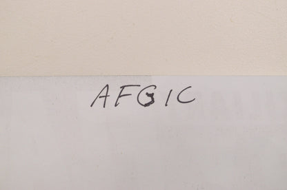 Auxiliary AFGIC Glow in the Dark ATV Flag NOS