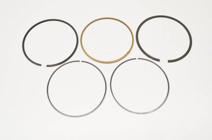 New OEM Briggs & Stratton Piston Ring Kit NOS