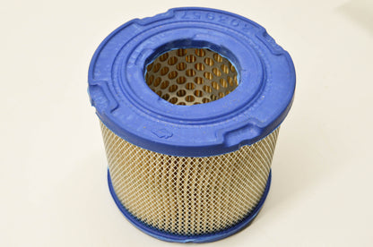 Briggs & Stratton 393957 Air Filter