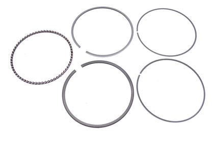 OEM Polaris 3085645 Piston Ring Kit NOS