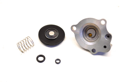 OEM Honda 16021-MEN-A01 Pump Diaphragm Set NOS