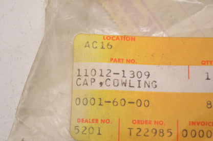 OEM Kawasaki 11012-1309 Cowling Cap Qty 5 NOS