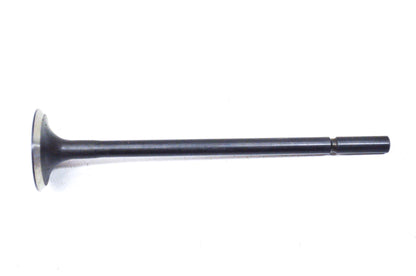 Intake Valve NOS