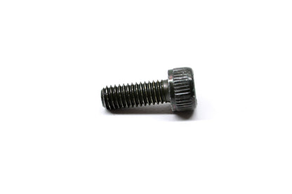OEM Yamaha 91317-06016-00 Bolt (4MY) NOS
