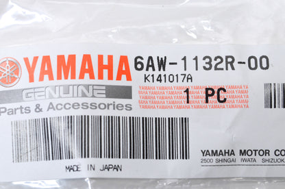 OEM Yamaha 6AW-1132R-00-00 Anode 6 NOS