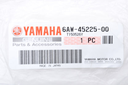 OEM Yamaha 6AW-45224-00-00 Water Inlet Cover 3 NOS