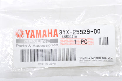 Anti Rattle Spring NOS