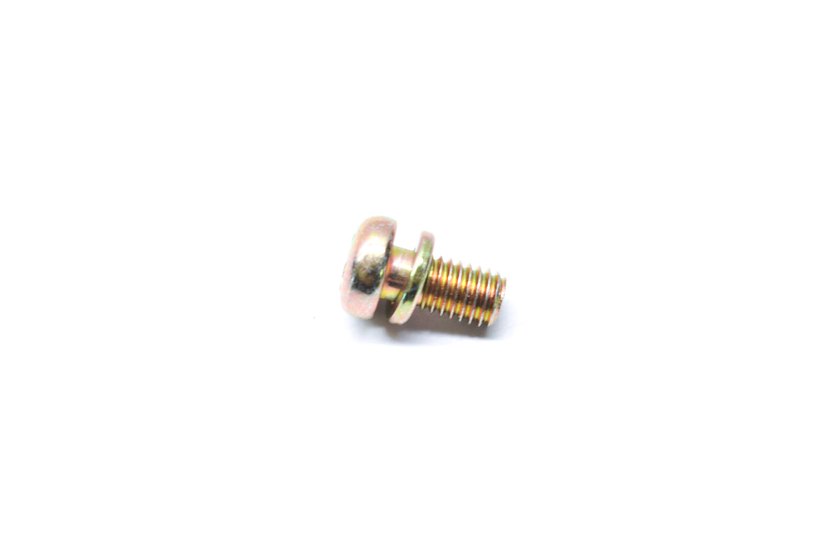 OEM Polaris 3084205 Screw & Washer Assembly NOS