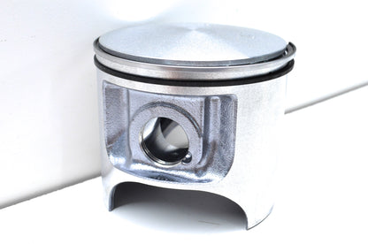 OEM Polaris 2201627 Piston Assembly NOS