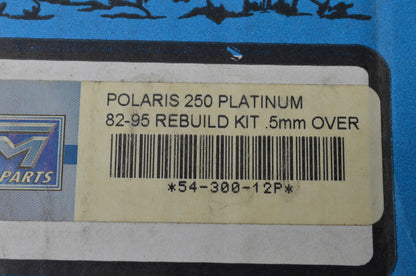 New WSM ATV Engine Rebuild Kit NOS