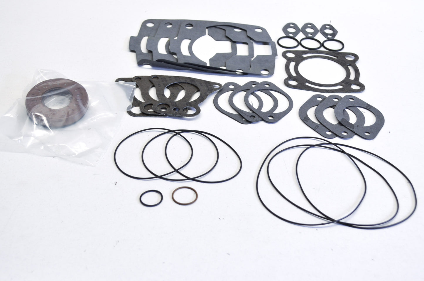 OEM Polaris 2200815 Complete Gasket Kit NOS