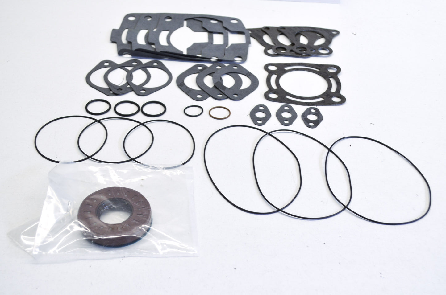 OEM Polaris 2200815 Complete Gasket Kit NOS