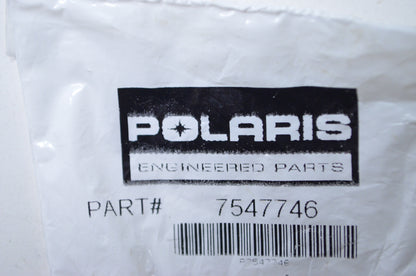 OEM Polaris 7547746 Nyloc Hex Nut M10X1.5 NOS
