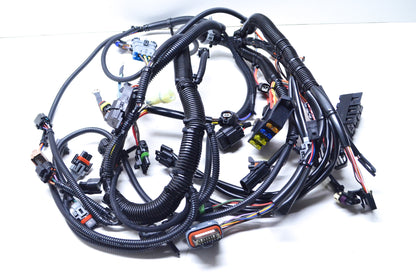 Main Electrical Harness NOS