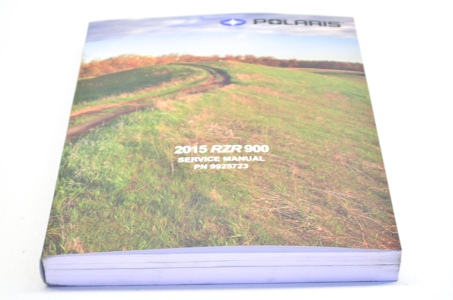 OEM Polaris 9925723 Service Manual 15 RZR 900/RZR 4 900