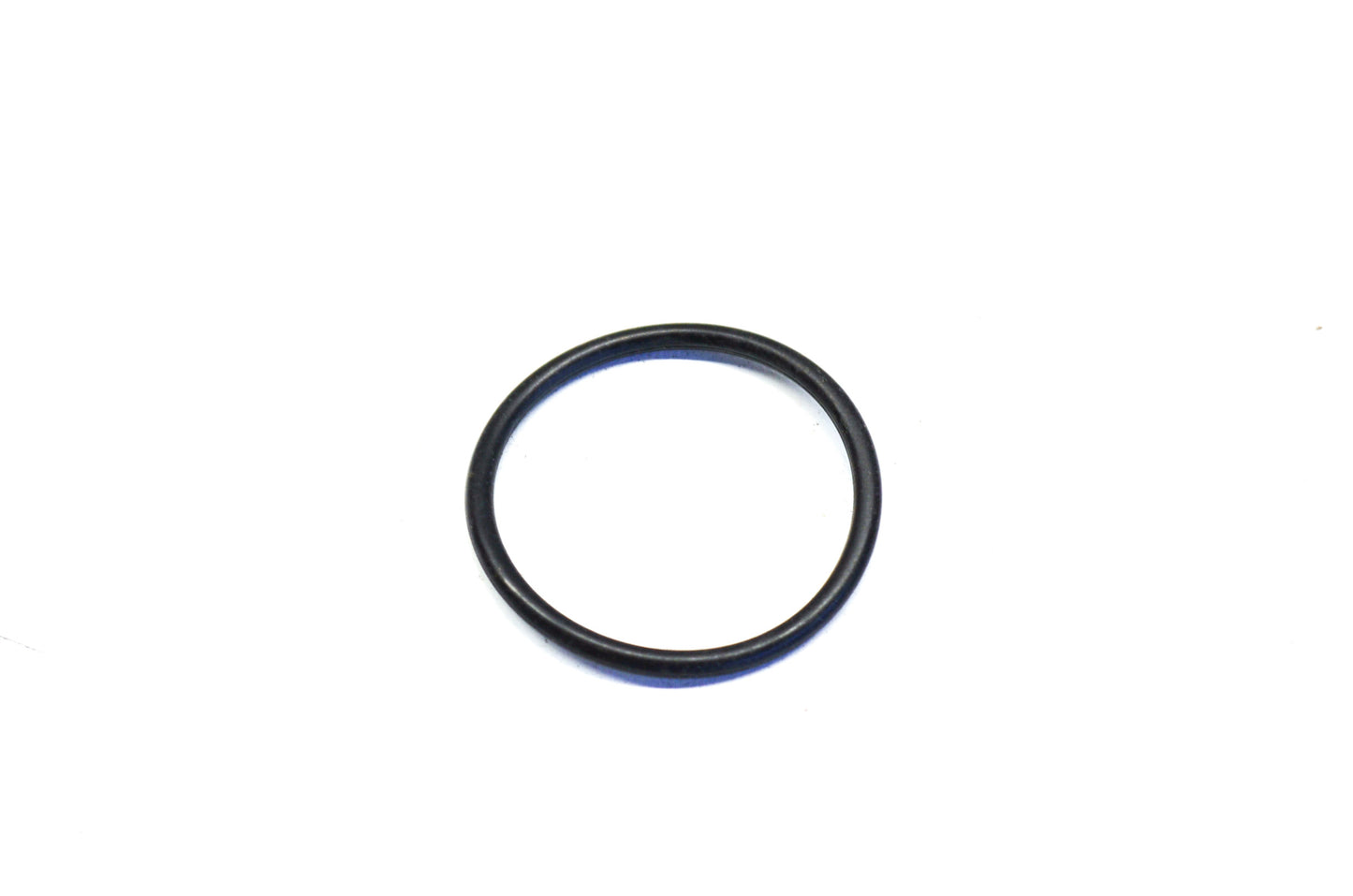 OEM Polaris 1700251 End Cap O-Ring NOS
