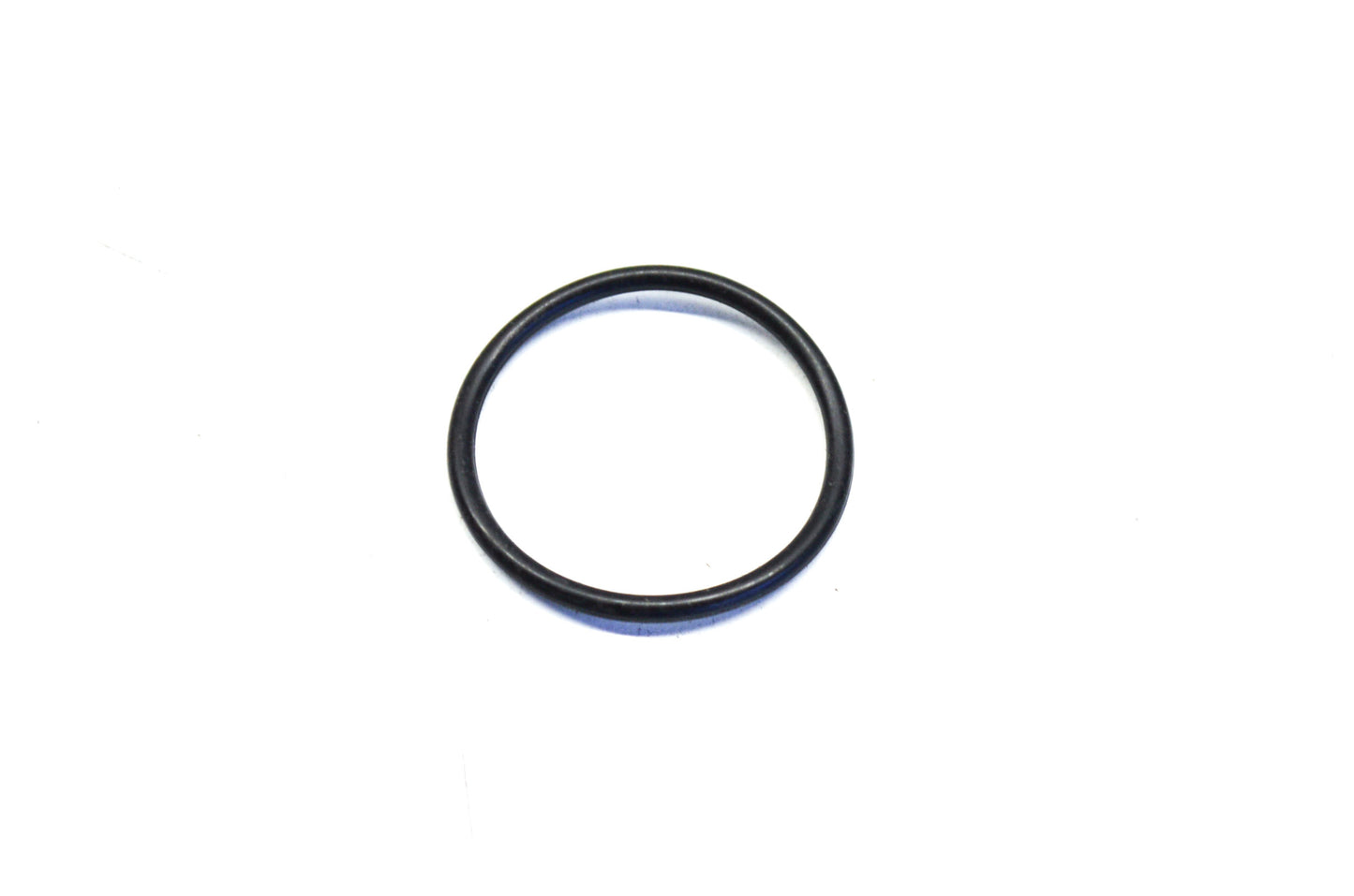 OEM Polaris 1700251 End Cap O-Ring NOS