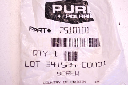 OEM Polaris 7518101 Socket Head Screw M10X25 NOS