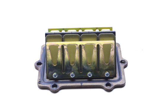 OEM Polaris 1201831 Reed Valve Assembly NOS