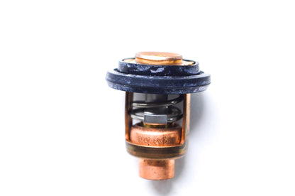 New OEM Mercury Thermostat NOS
