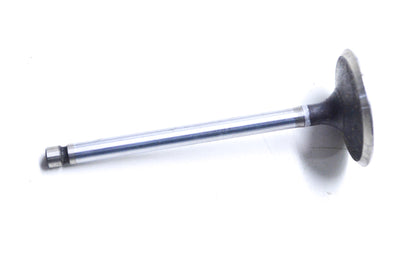 Intake Valve NOS
