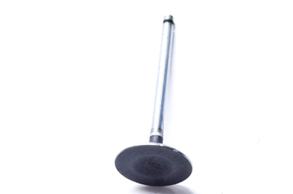 Intake Valve NOS
