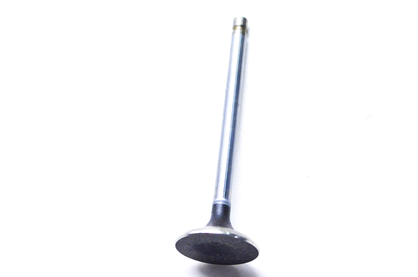 OEM Mercury 832991T Exhaust Valve NOS