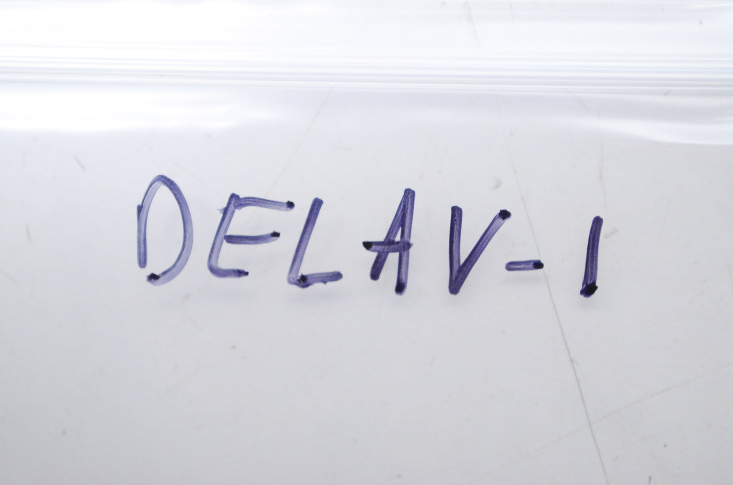 Delphin DELAV-1 Air Valve NOS
