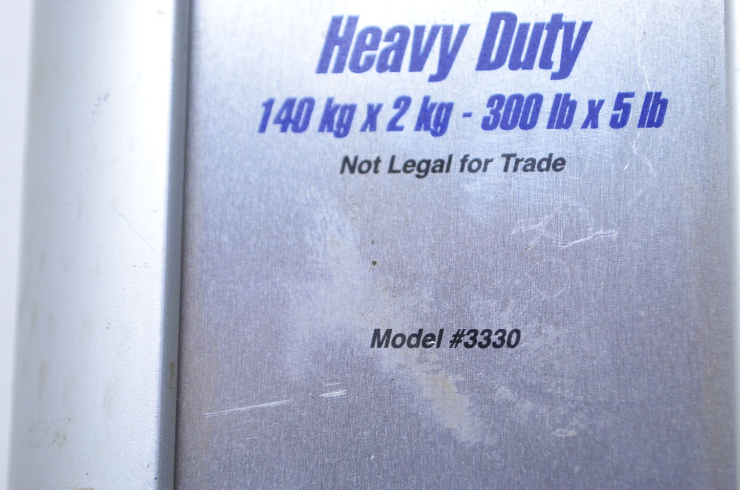 Taylor Heavy Duty Hanging Scale