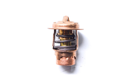 New OEM Mercury Thermostat NOS
