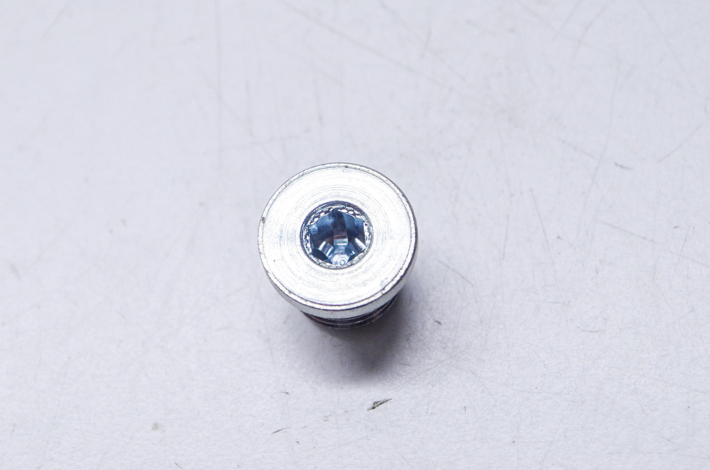 OEM Polaris 7052481 Plug w/ O-Ring NOS
