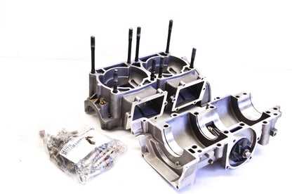 OEM Polaris 2202519 Crankcase Kit