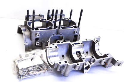 OEM Polaris 2202519 Crankcase Kit