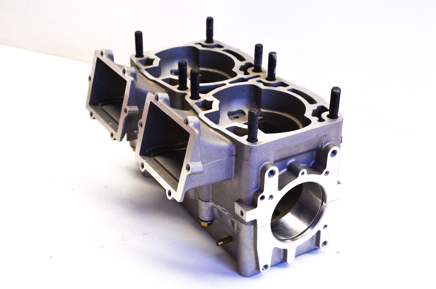 OEM Polaris 2202233 Crankcase Kit NOS