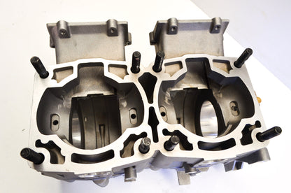 OEM Polaris 2202233 Crankcase Kit NOS