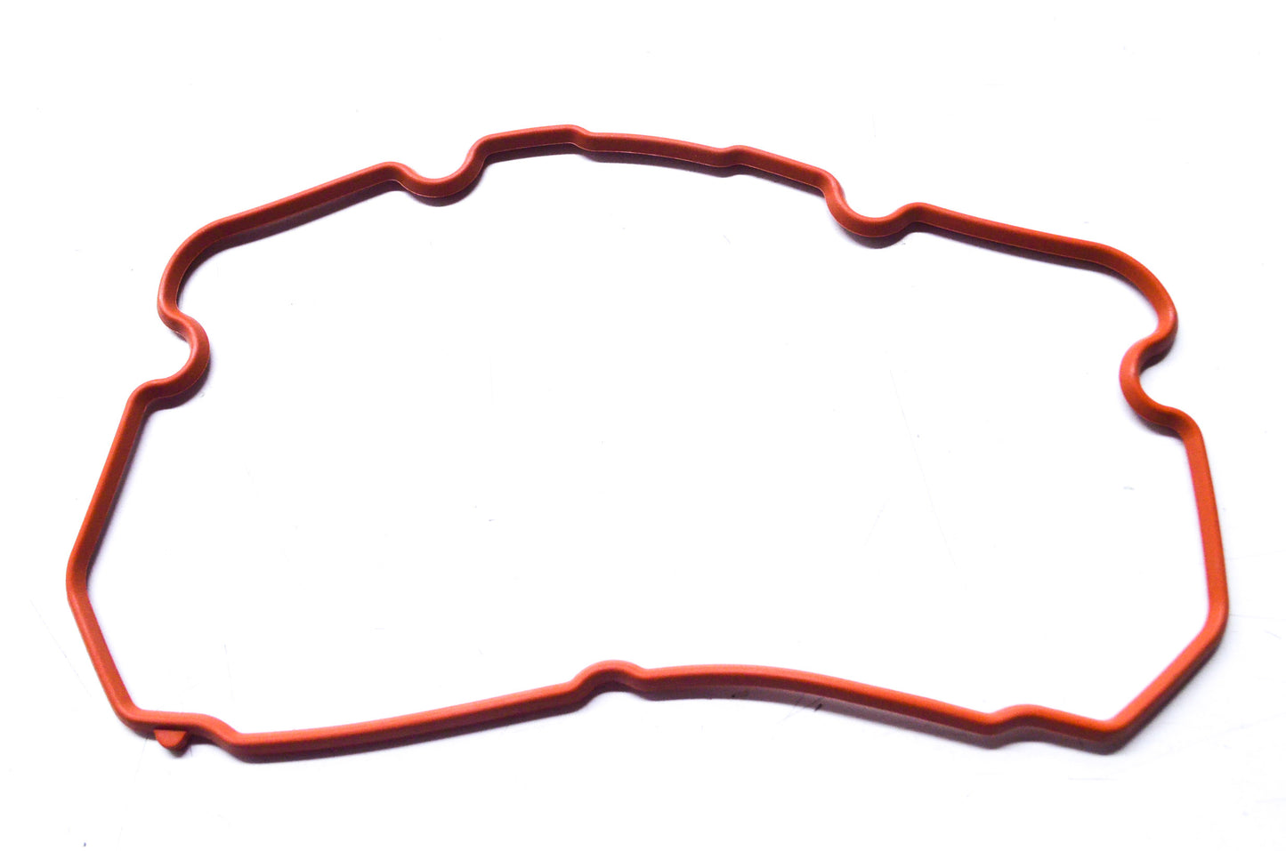 OEM Polaris 5413874 Valve Cover Seal NOS