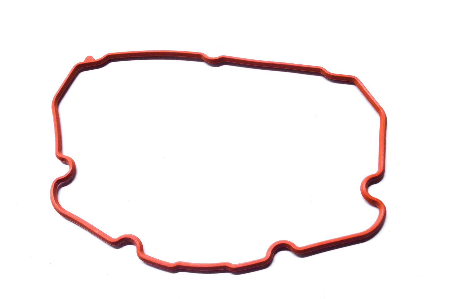 OEM Polaris 5413874 Valve Cover Seal NOS